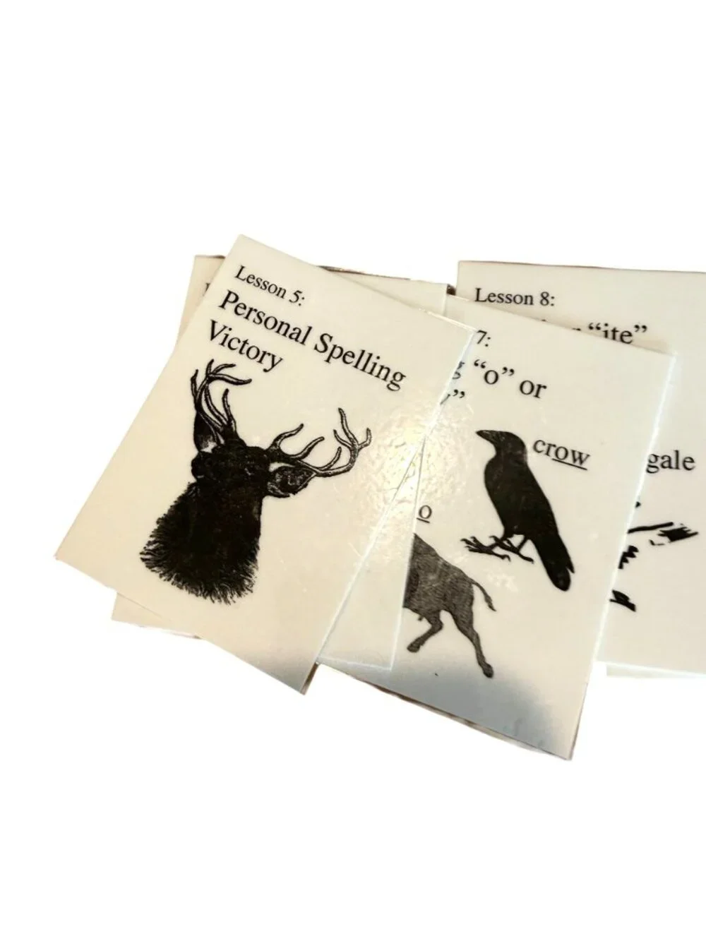 IEW Phonetic Zoo Spelling Zoo Cards Set Laminated Extra Complete
